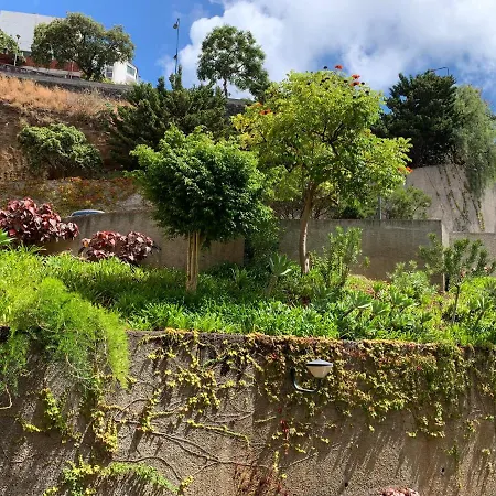 Formosa Ocean View - * Funchal (Madeira)