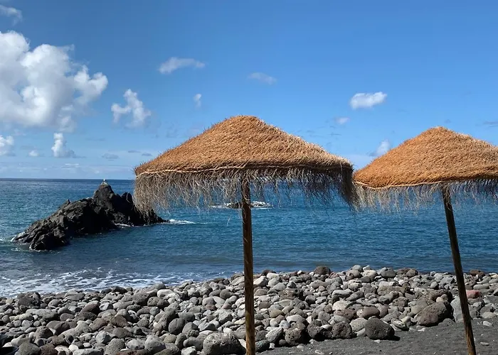 Formosa Ocean View - Funchal